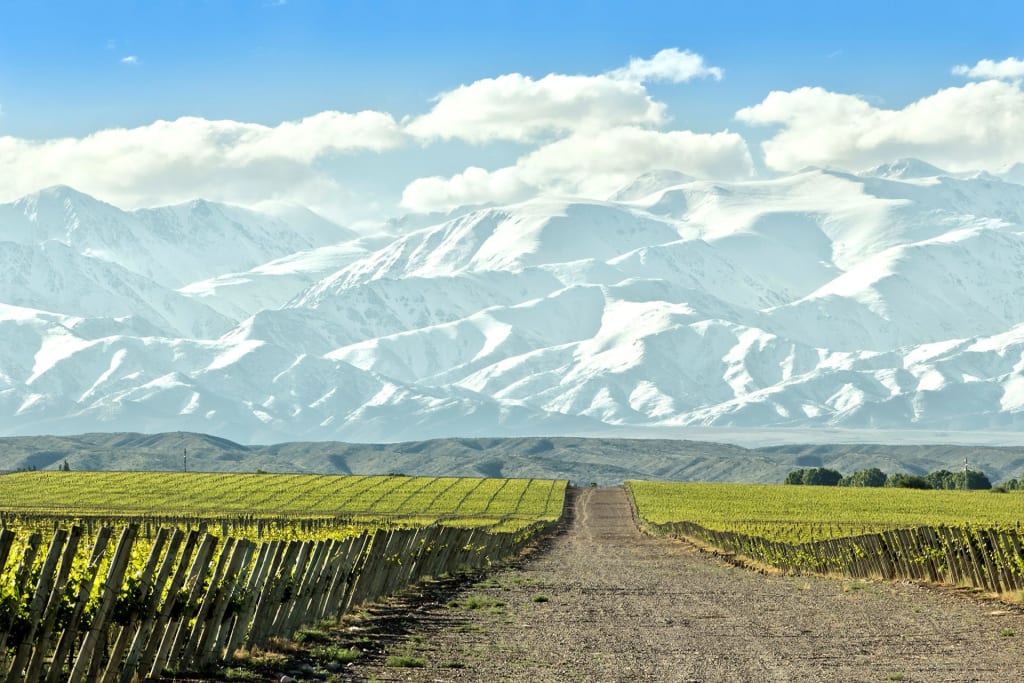 Mendoza | Wine Enthusiast