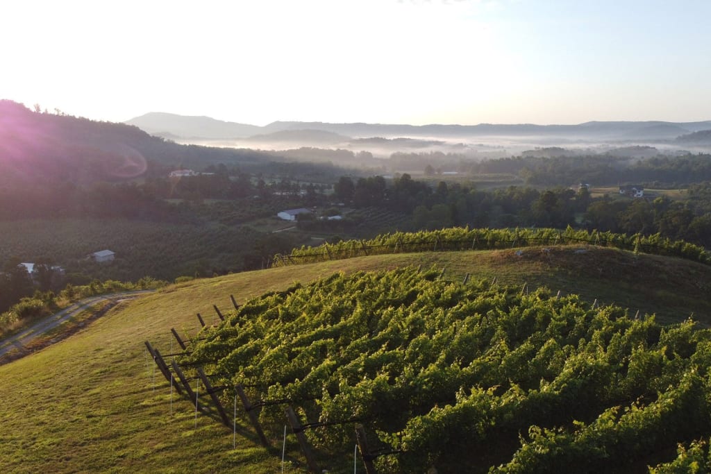 Crest of the Blue Ridge Henderson County AVA | Wine Enthusiast