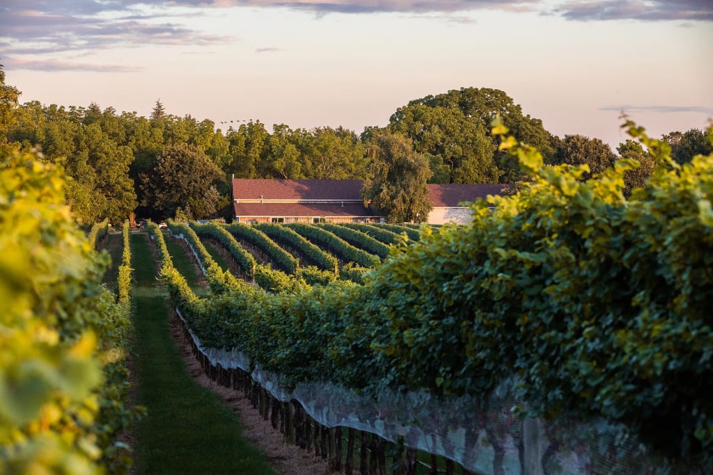 Long Island Wine Trail