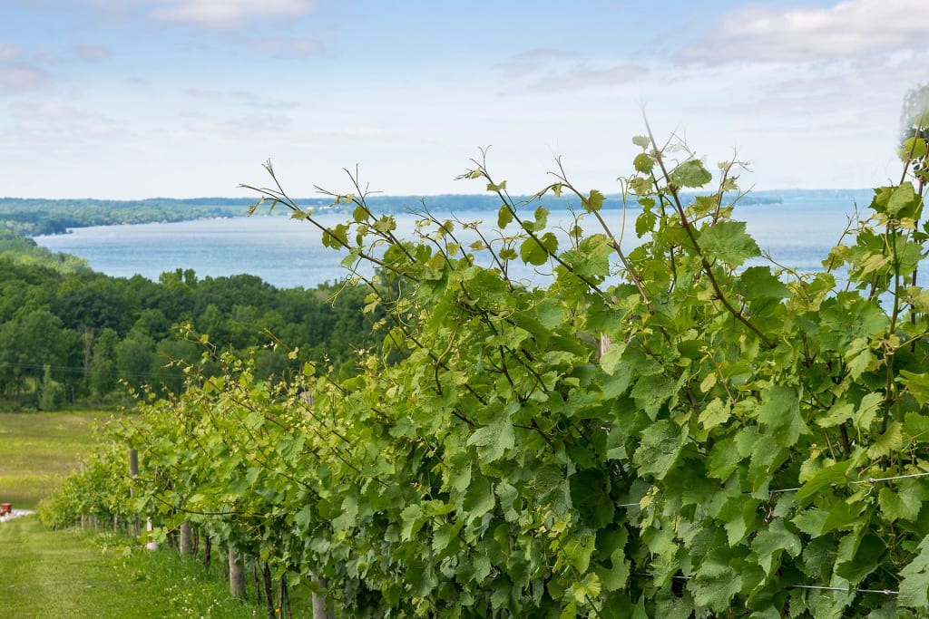 Cayuga Lake