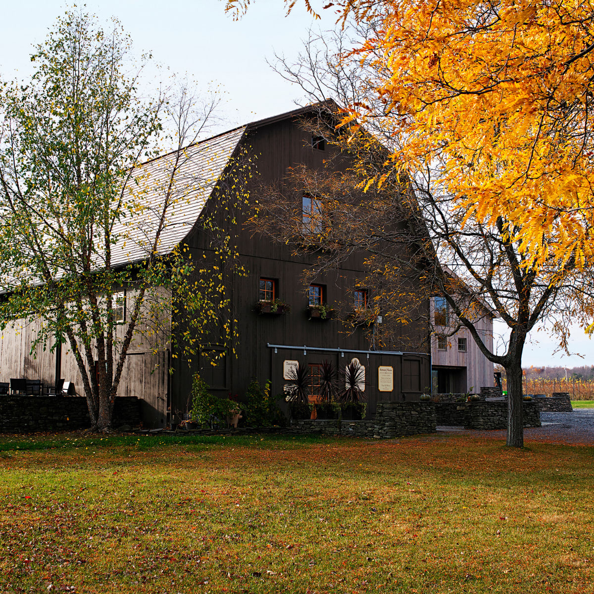 Hermann J. Wiemer Vineyard