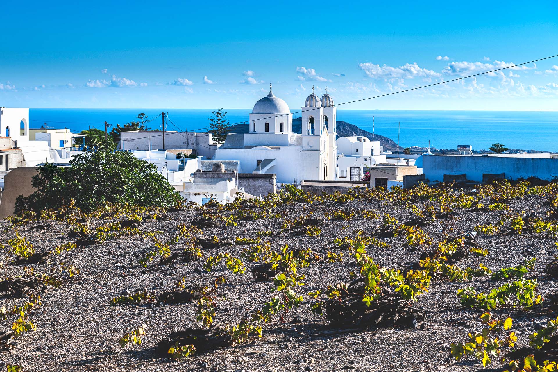 A Wine Lover's Guide to Santorini | Wine Enthusiast