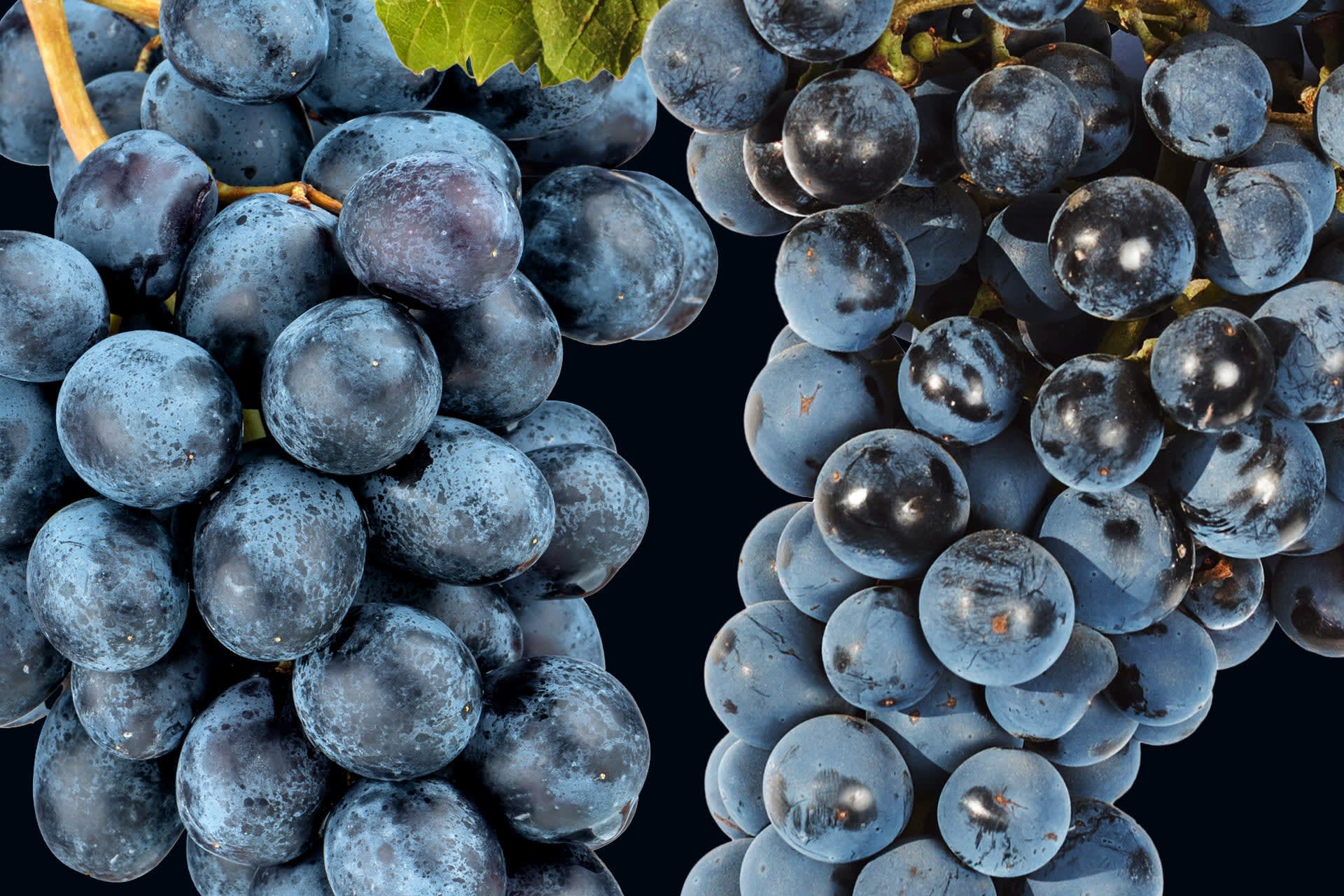David Hill 2009 Reserve Merlot (Rogue Valley) Rating and David Hill 2009 Reserve Merlot (Rogue Valley) Rating and