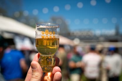 Beer Before Liquor Myth Debunked | Wine Enthusiast