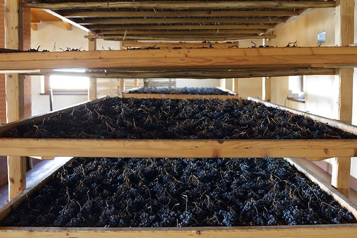 Grapes Drying on mats.
