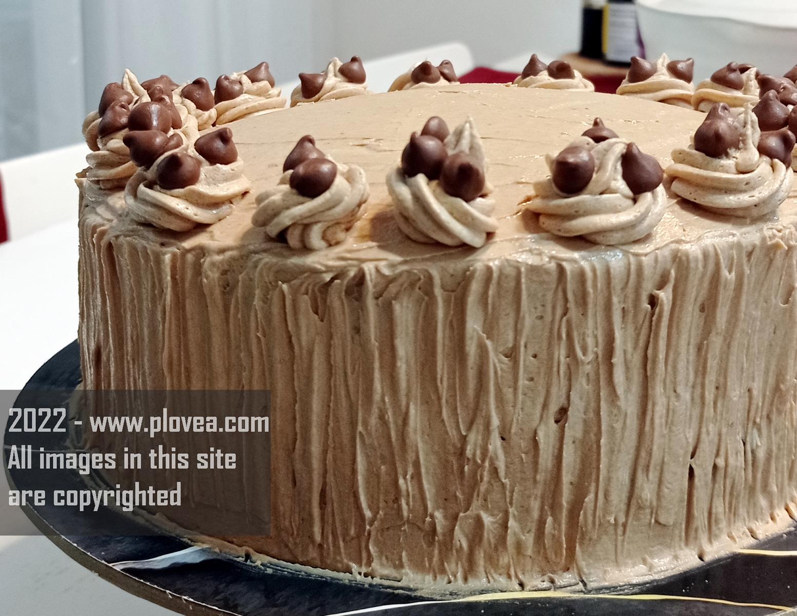 Cantik yaaa....walaupun hanya dihias seadanya saja. Untuk toppingnya itu hanya saya tambahkan choco chips saja supaya mempermanis penampakan cakenya 😘