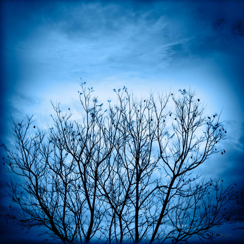 9D4168BD-B05D-4216-BFEE-0E22214B7365