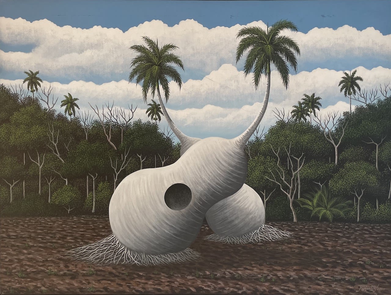 martin viera sin marco