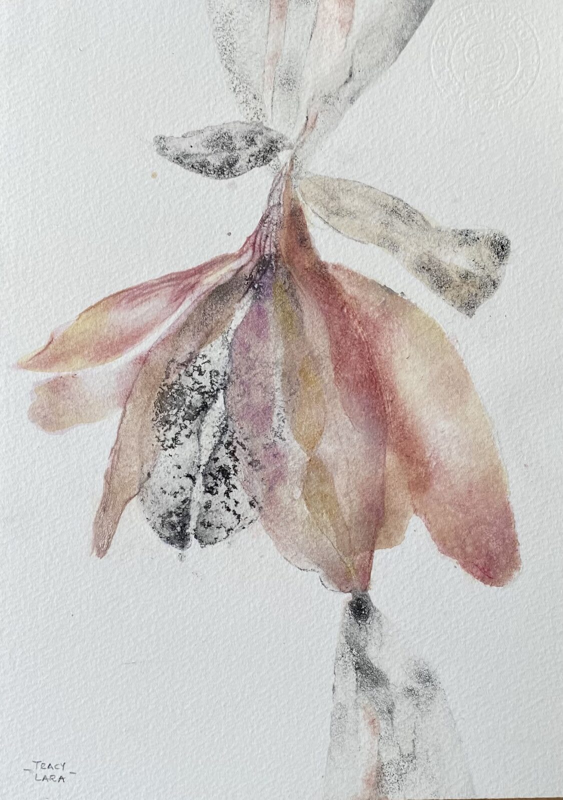 De la serie “Flor Abierta ”No.34