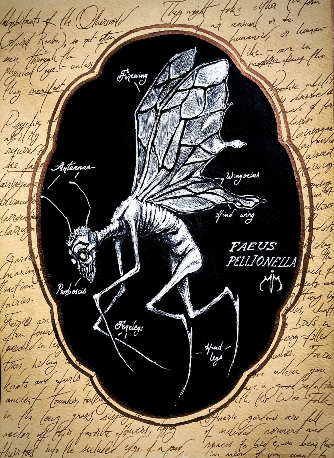 c2679327-0b85-407a-9068-1bb9868a754c