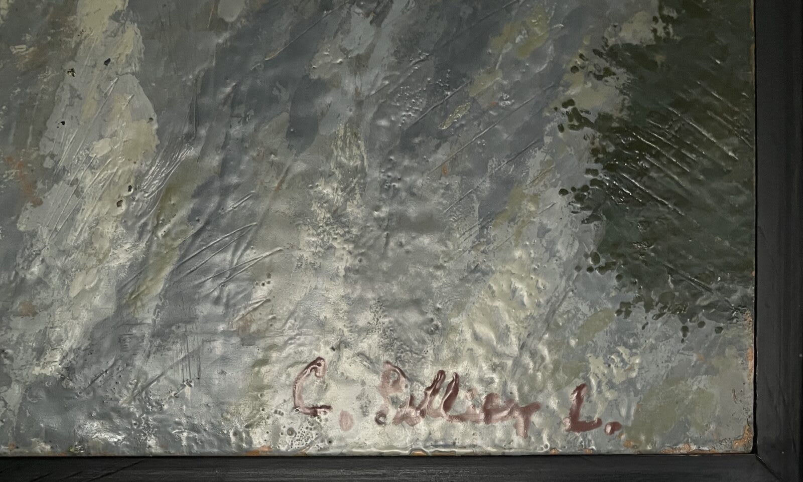 image00094 Carlos pellicer