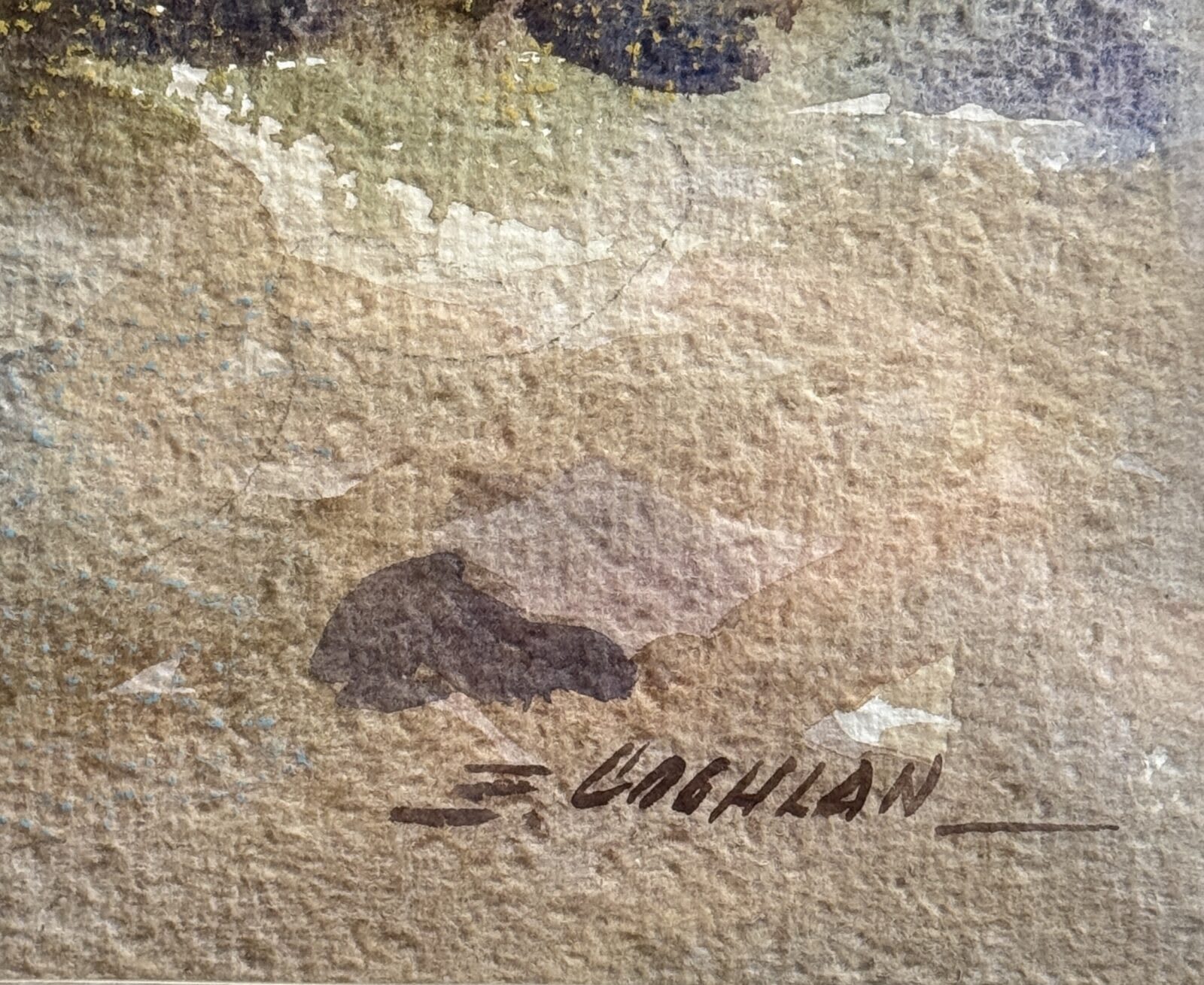 IMG_9348 Firma 3 niños