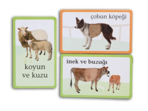 Dokun hisset kartları