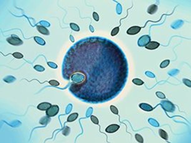 kayganlaştırıcı içerisindeki kimyasallar spermleri yavaşlatabilir