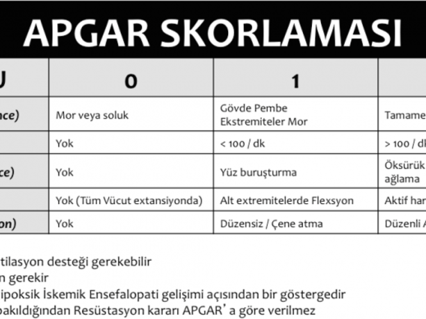 apgar değerlendirmesi