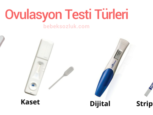 Ovulasyon testi nasıl yapılır