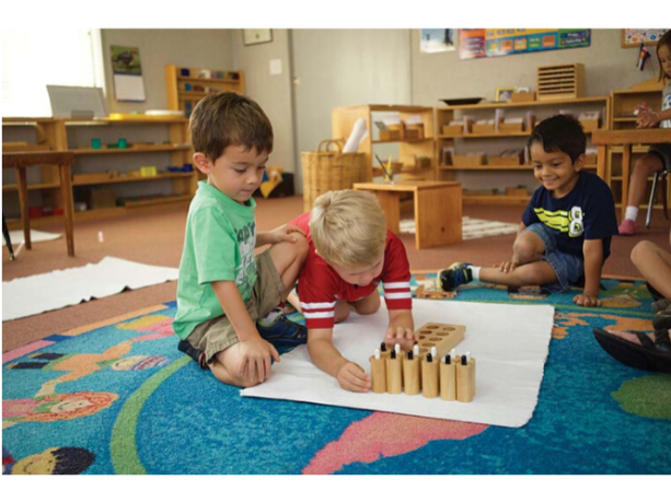 Montessori Etkinliği Nedir