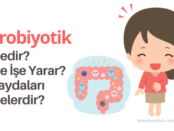 Probiyotik Nedir Ne İşe Yarar