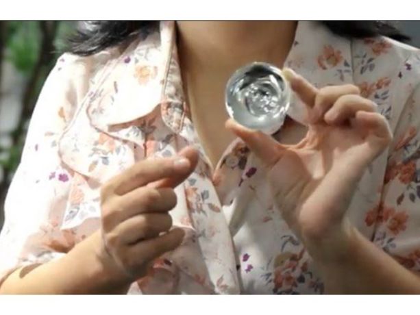 gümüş göğüs kapağı nedir