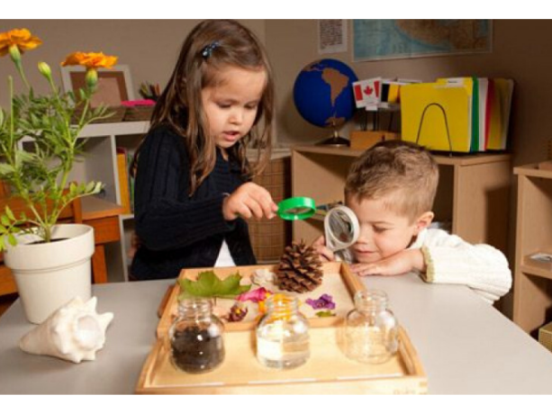 Büyüteç ile inceleme Montessori etkinlikleri