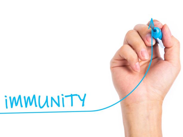 bir elin bağışıklık sistemi yazdığını görüyoruz