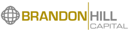 Brandon Hill Capital reviews