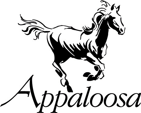 Appaloosa Management reviews