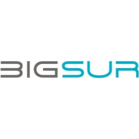 BigSur Partners reviews