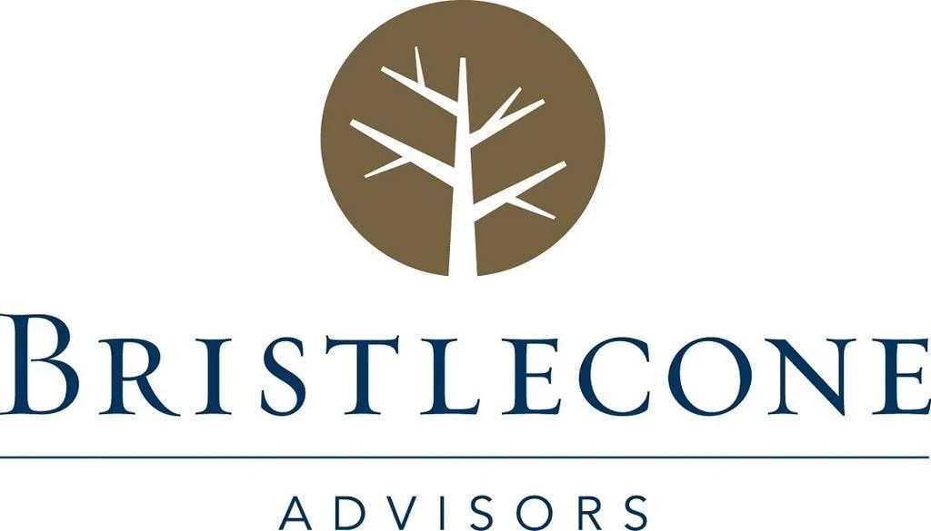 Bristlecone Advisors reviews