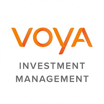 Voya Investment Management reviews