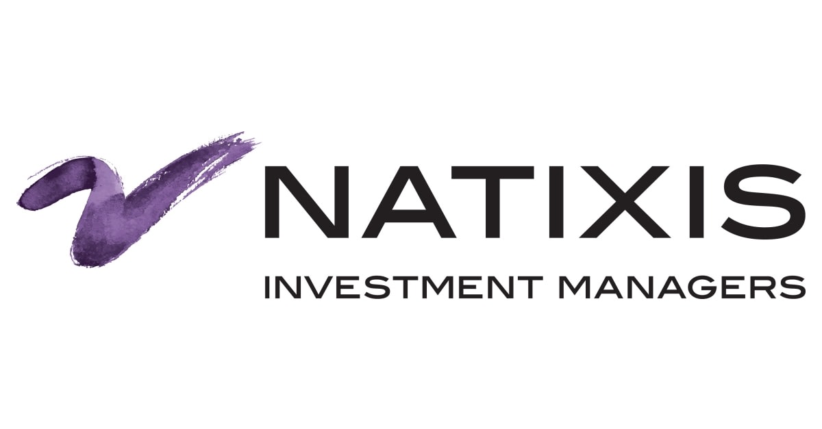 Natisix Investment Managers reviews