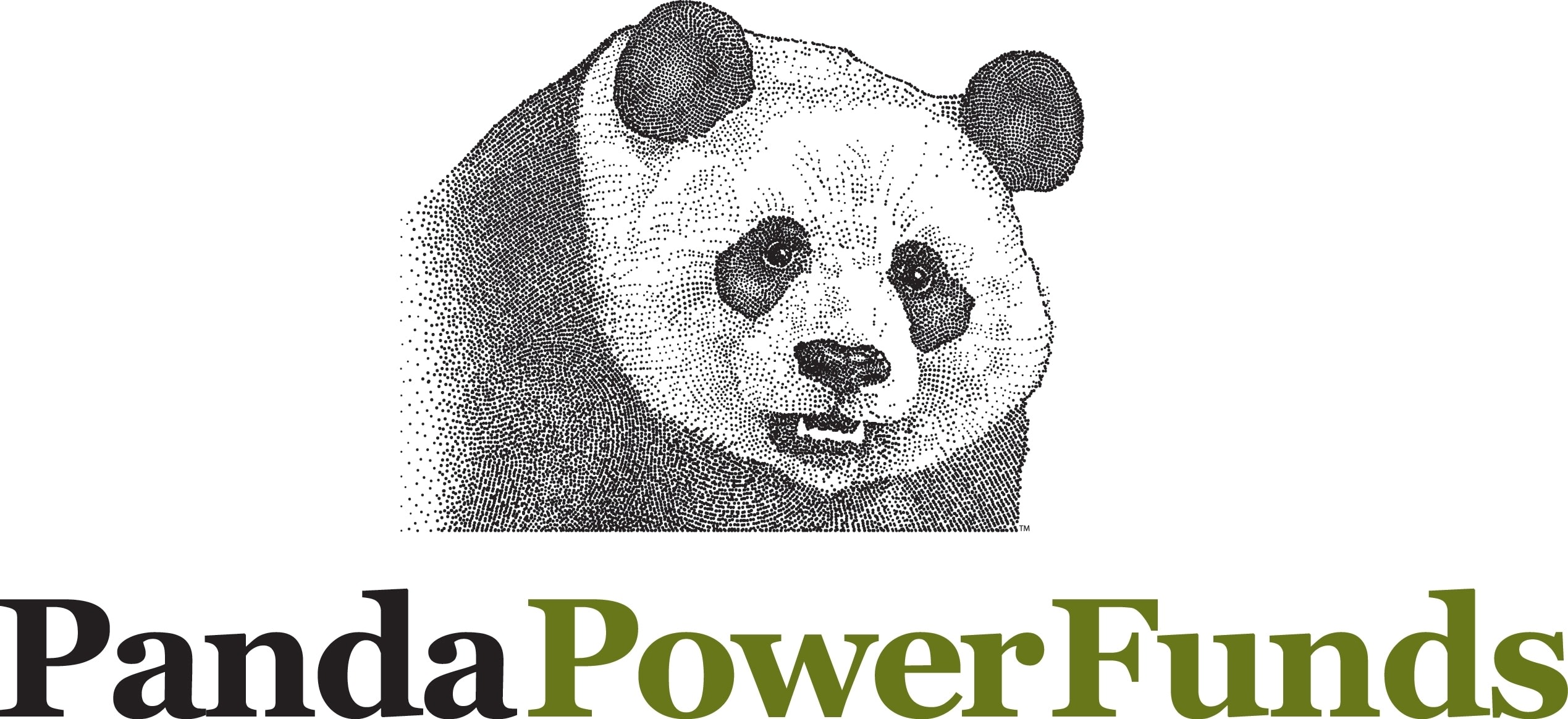 Panda Power Funds reviews