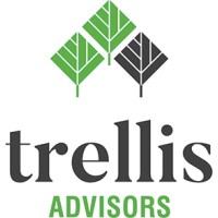 Trellis Advisors reviews