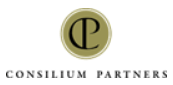 Consilium Partners reviews