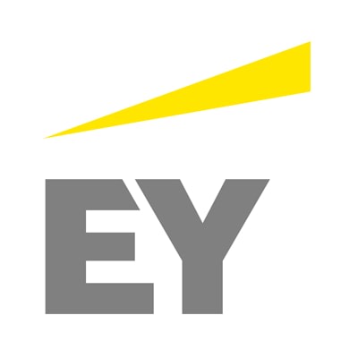 Ernst & Young Capital Advisors, LLC