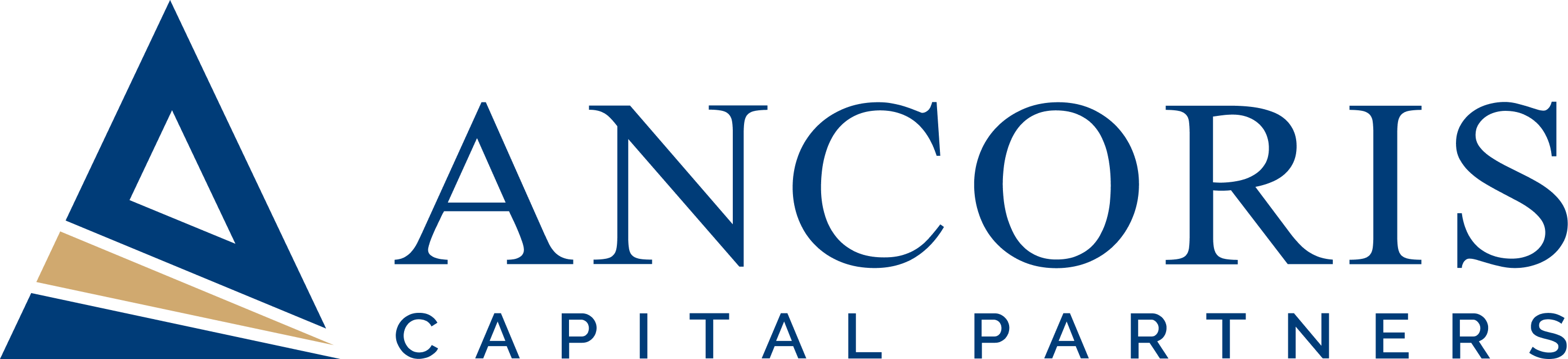 Ancoris Capital Partners reviews