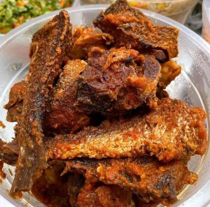 Croaker fish