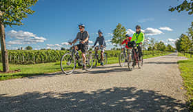 Sightseeing by Bicycle aboard AmaBella