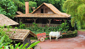 Azamara Club Cruises Traditional Costa Rican Home with ox cart