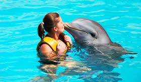 Woman kissing a dolphin