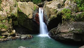 Caribbean rainforest waterfall