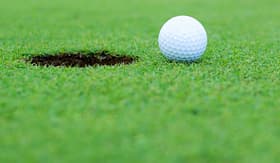 Celebrity Cruises golf ball near hole on putting green