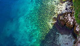 Glass-bottom Boat Tour