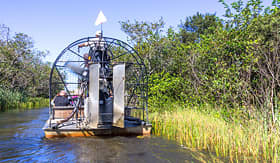 Holland America Line airboat tour in the Everglades Florida