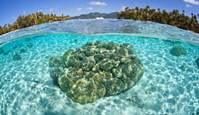 Holland America Line Raiatea and Tahiti in French Polynesia