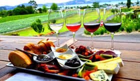 Wine Tasting in New Zealand