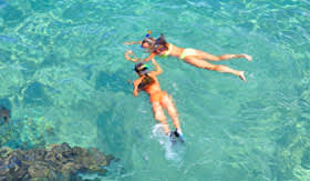 Snorkeling in Clear Water in Aruba