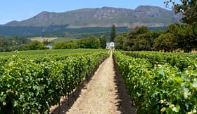 Oceania Cruises grape farm near Cape Town South Africa