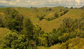 Oceania Cruises landscape Waitomo king country New Zealand