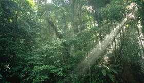 Princess Cruises Asa Wright Nature Centre in Trinidad and Tobago